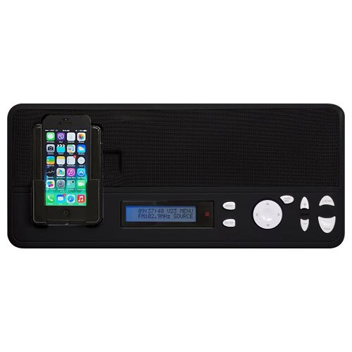 IST I2000 Music & Intercom Master Station