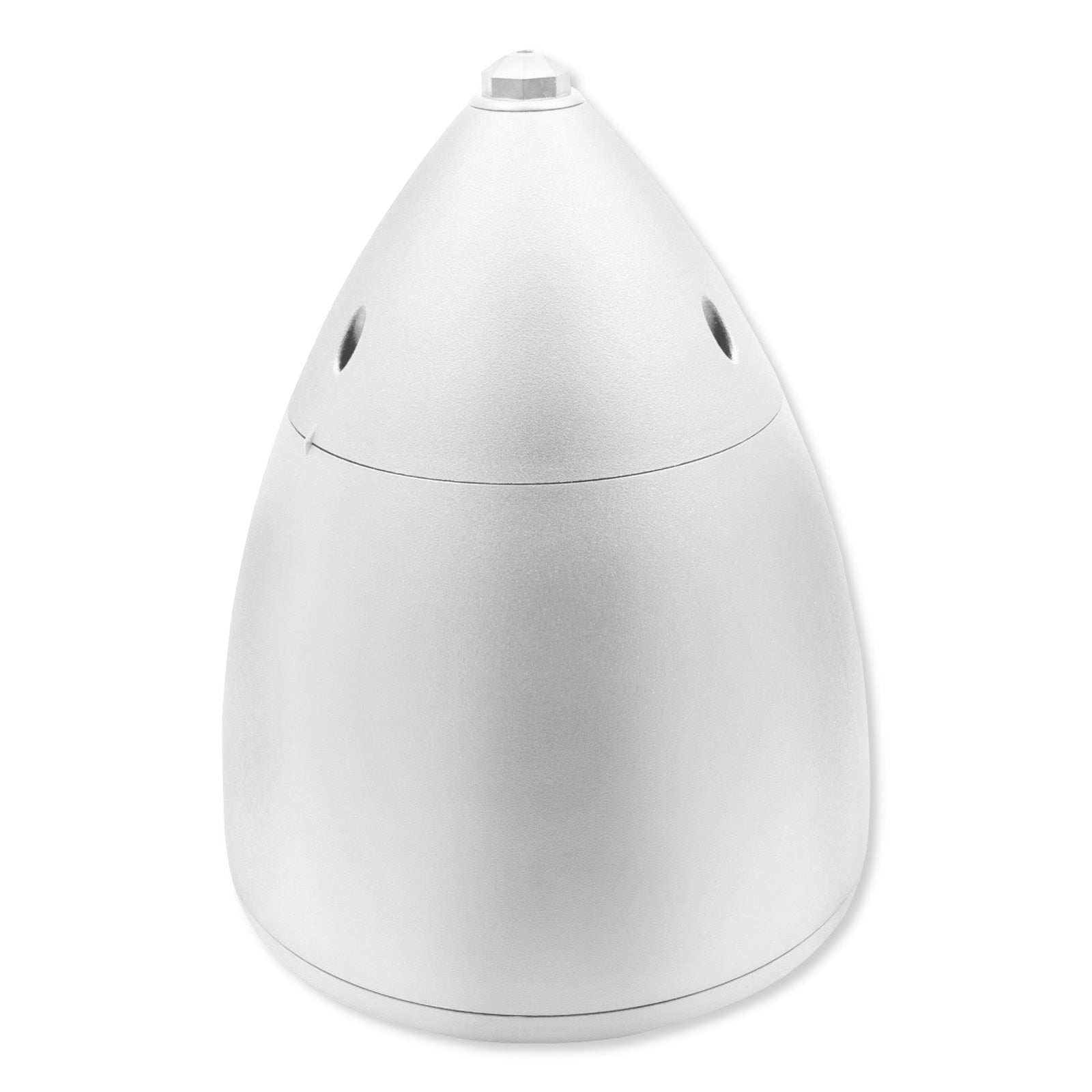 IST 6" Pendant Speaker with Hanging Strip
