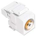 Leviton QuickPort RCA to 110 Snap-In Connector, White Insert