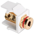 Leviton QuickPort Banana Jack Snap-In Connector