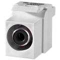 On-Q/Legrand RCA Keystone Snap-In Connector, Black Insert