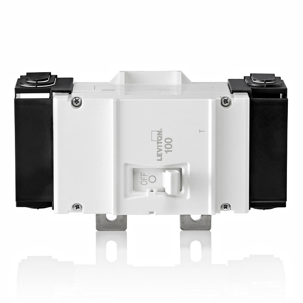 Leviton Thermal Magnetic Main Circuit Breaker, 2-Pole