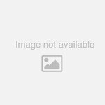 NuTone Central Vacuum 330 Automatic On/Off Wall Inlet