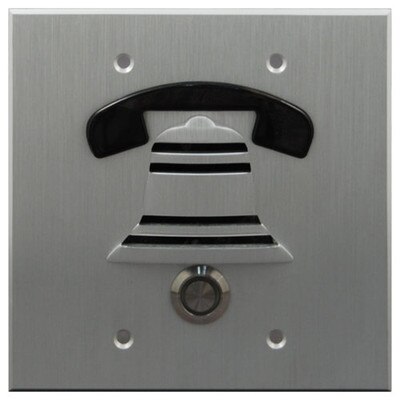 DoorBell Fon DP38 Extra Door Station, 2-Gang Masonry Box Mount
