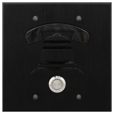 DoorBell Fon DP38 Extra Door Station, 2-Gang Masonry Box Mount