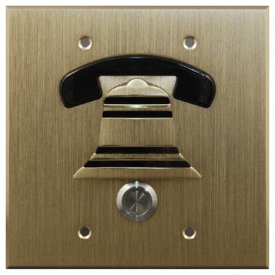 DoorBell Fon DP38 Extra Door Station, 2-Gang Masonry Box Mount