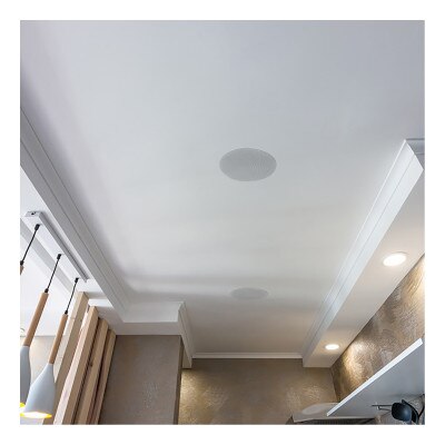 Lithe Audio 6.5 In. 2-Way Passive Slave In-Ceiling Speaker (Single)
