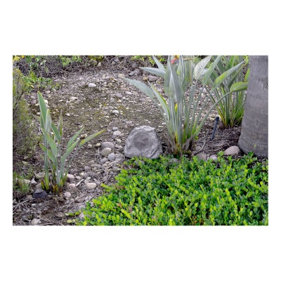 Lithe Audio Bluetooth Garden Speaker