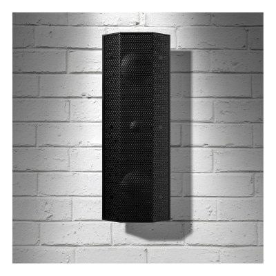Lithe Audio IO1 Passive Speaker (Single), Black