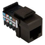 Leviton QuickPort Voice-Grade RJ45 Snap-In Connector, Brown