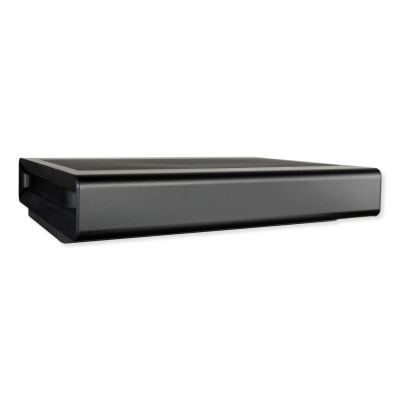 VSSL SX Series 10 In. Subwoofer